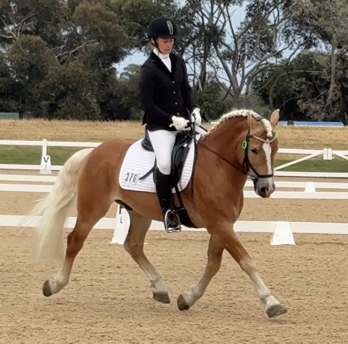 Dressage