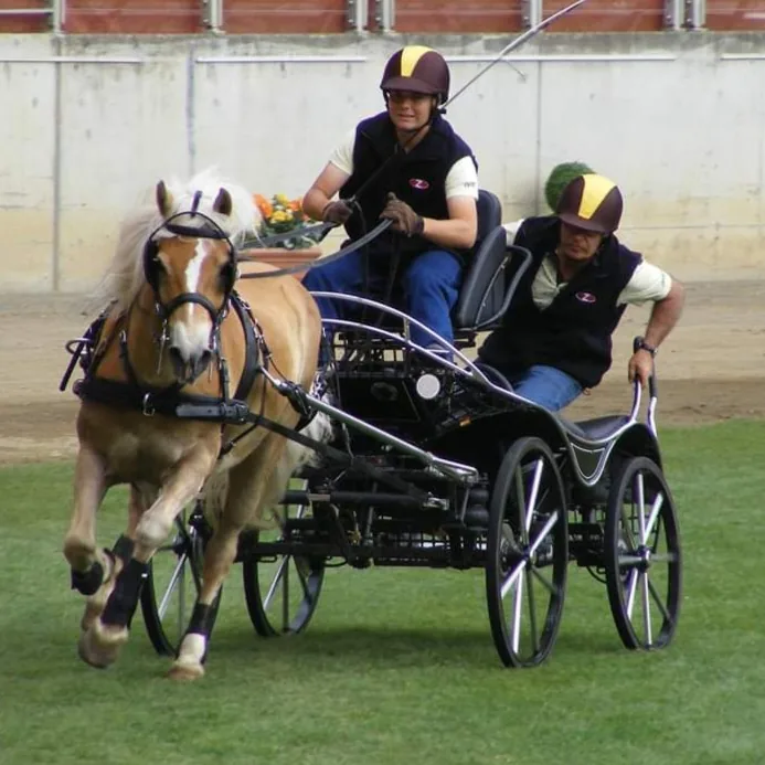 Harness driving