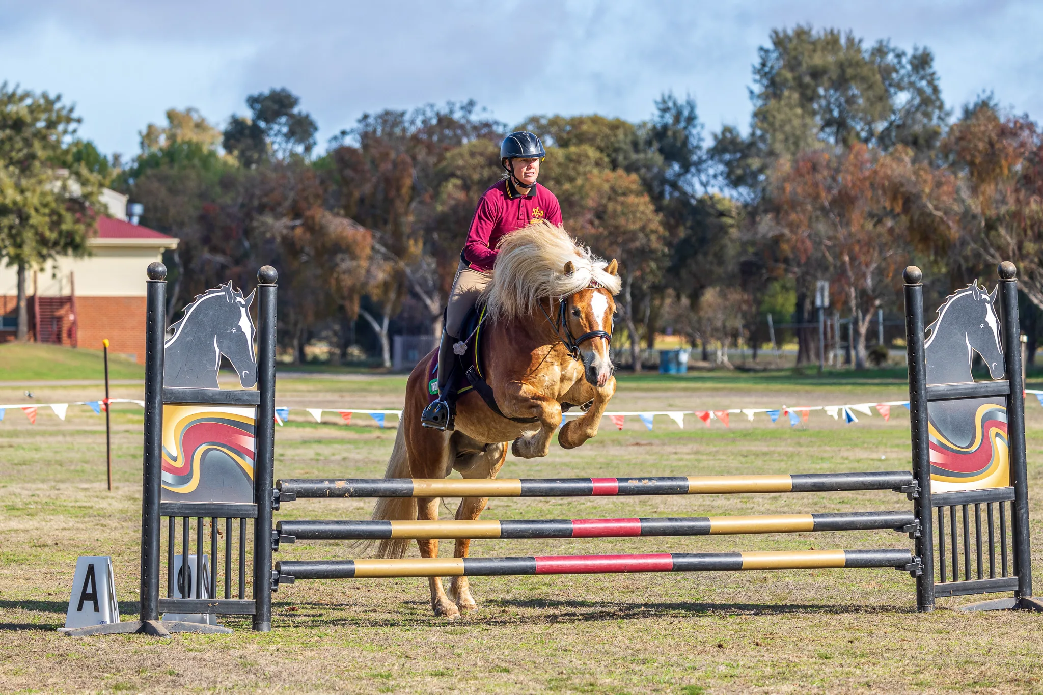 Show jumping