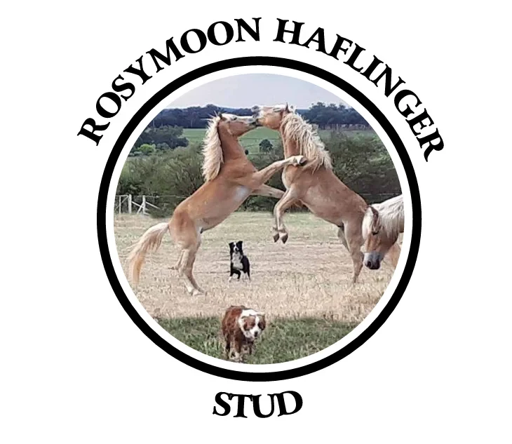 Rosymoon